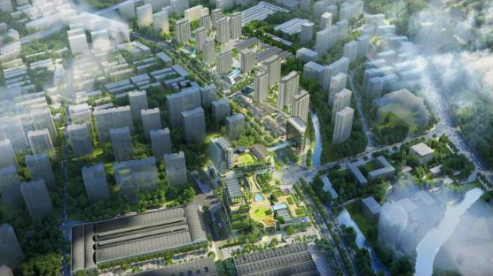 杭政儲(chǔ)出（2019）31 號(hào)地塊項(xiàng)目